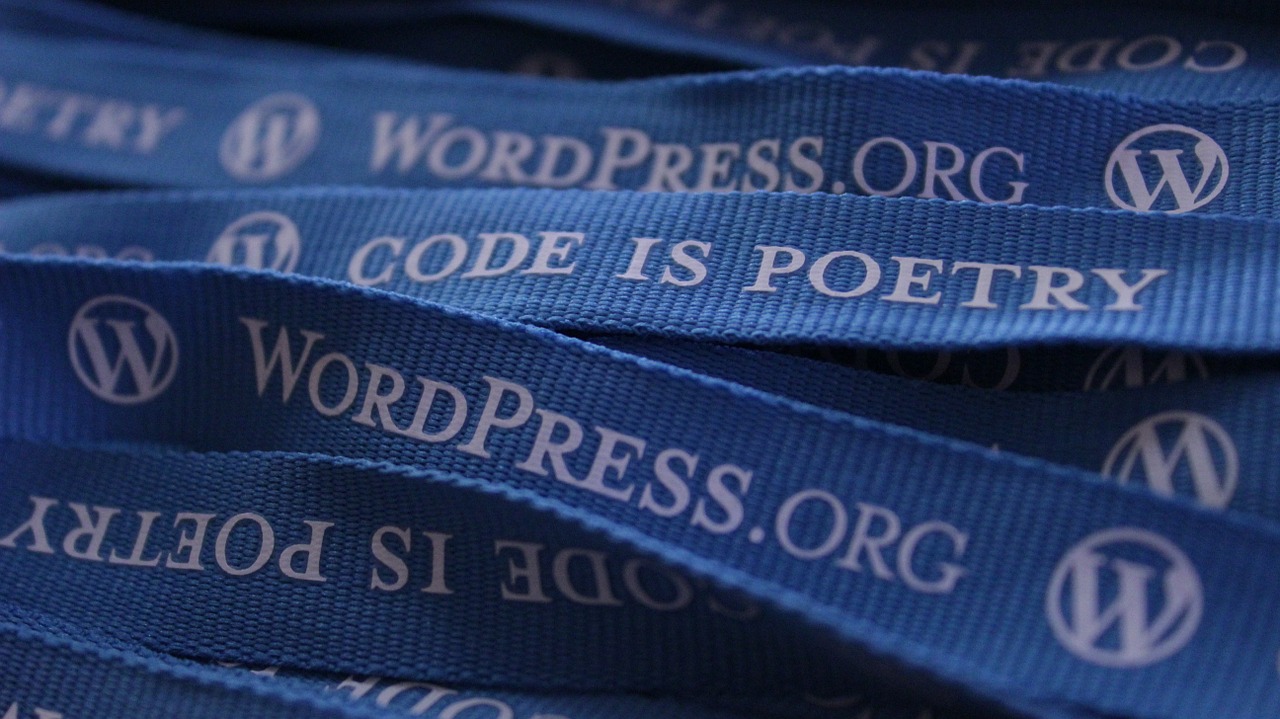wordpress WordPress plug-ins